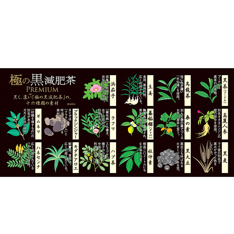 井藤漢方製薬 極の黒減肥茶 312g(10.4g×30袋)